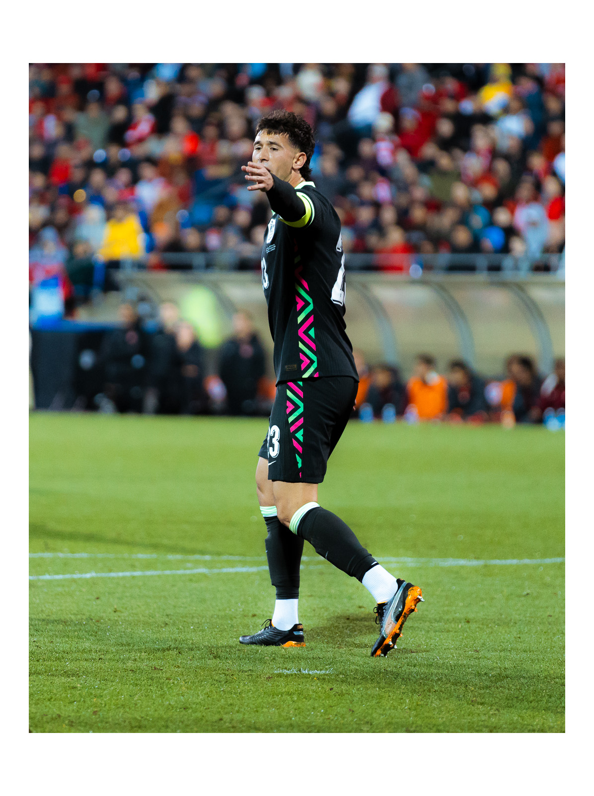 FIFA International — 3